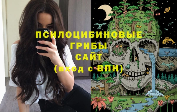 спайс Баксан