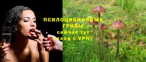 МДПВ Карталы