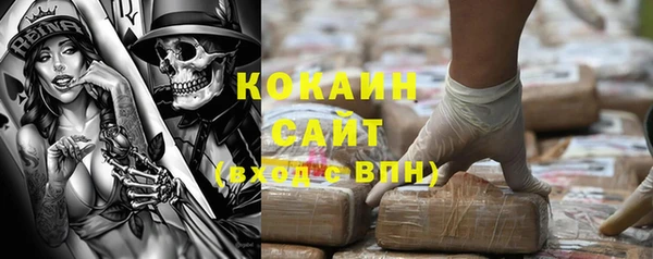 дживик Балахна