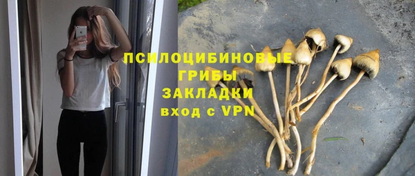 дживик Балахна
